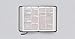 ESV Large Print Compact Bible (TruTone, Mahogany, Border Design)