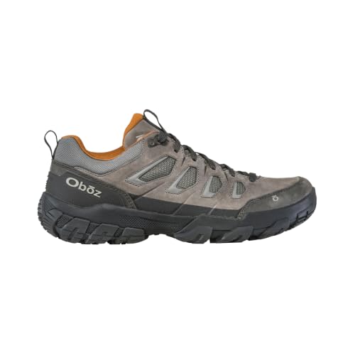 Image of Oboz Men's Sawtooth X Low Hiking Shoe