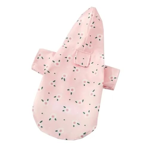 Correas Perros Pequeños Pomeranias Marca KCHYCV