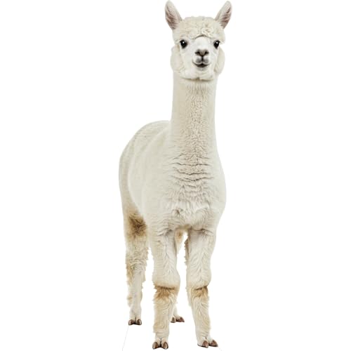 Image of Alpaca Life Size Cardboard Cutout, 2FT, 1 PC | Fun Animal Standup for Events, Party Decor, Birthday Party & Photos, Standing Decoration