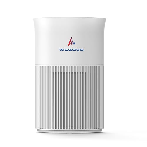 Image of Pure Air PA1 Wozoyo Air Purifier, Home&office, 4in1 Filter,PreFilter,AntiBacterial,H13 HEPA,Activated Carbon,AHAM Verifide,Removes 99.99% PM2.5 PM10,Pet Dander, Smoke,Pollen, Aromatherapy,NightLight
