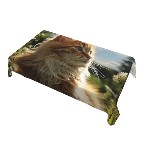 Nappes pour tables rectangulaires imperméables nappe en tissu résistant chat champ vert - 3