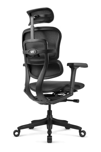 Image of Ergohuman LE9ERG Executive High Back Leather Swivel Office Chair with Tilt Tension Control, Tilt Lock, Synchro Tilt, Seat Height & Depth, & Arm Height Adjustments, Matte Black Frame