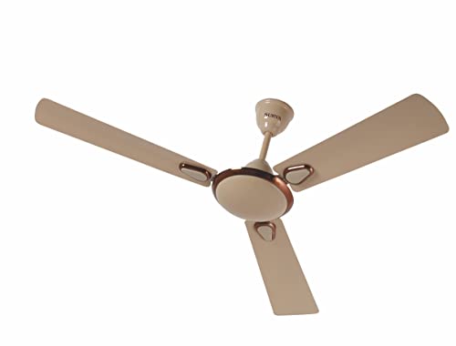 Image of Surya Grace 1200MM Ceiling Fans | for up-beat Living rooms, Bedrooms, Dens, Common Areas, Home and Office (Mid Buff)