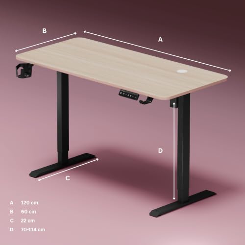 Image of Dr Luxur Stallion Electric Standing Desk | Height Adjustable 70-114cm | 80kg Load | 3 Memory Presets | Zero Wobble | Child Lock | Low Noise Motor | 5 Year Warranty (Arctic Oak, 1200 * 600 mm)