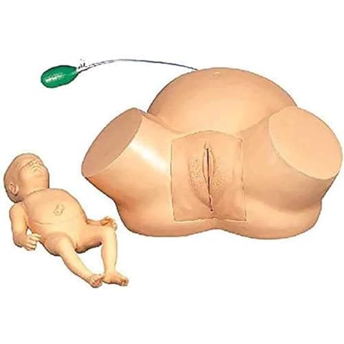 Birth Simulator Demonstration Female Childbirth Manikin Advanced Midwifery Training Model Obstetrics and Gynecology Delivery Maternity Simulator for Nursing Medical Teaching Education