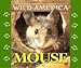 Produktbild Mouse (Wild America)