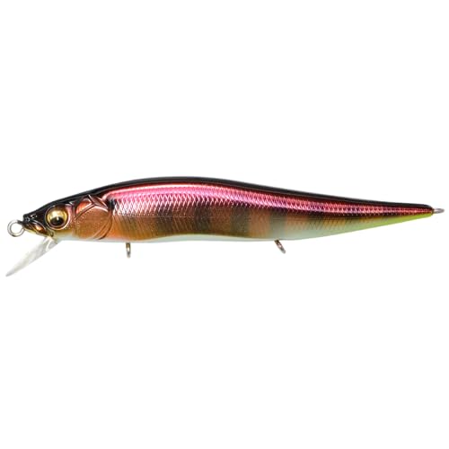 Megabass Vision ONETEN Jr.