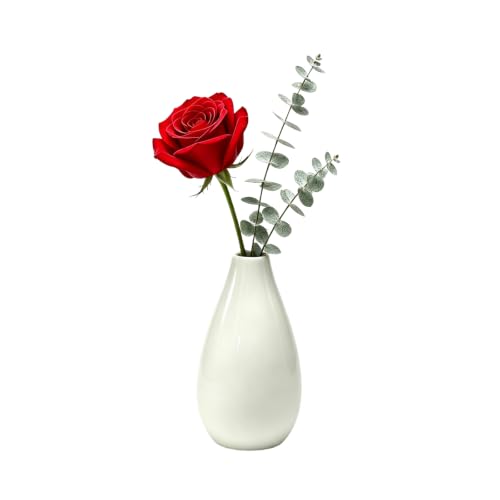 Colorful Ceramic Small Bud Vase Mini Single Stem Flower Vases Decorative Floral Holder for Home Office Table Decor (White)