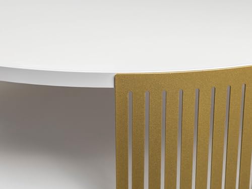 Mirjan24 Couchtisch mit Ablage Fahugin, Runde Form, Beine aus Metall, Kaffeetisch, Wohnzimmertische, Beistelltisch, Sofatisch, Teetisch (Arktisches Weiß, Gold) – Bild 7