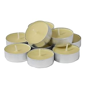 CandleNScent Colored Tea Light Candles | Unscented | Ivory | Made in USA (Pack of 30)