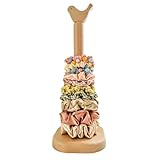 Scrunchie Holder Stand - Hair Tie Organizer Storage - 13 inch Scrunchie Organizer for Hair Accessory, Bangles, Bracelets - Non Slip & Lightweight Wooden Scrunchie Storage fits up to 50 scrunchies