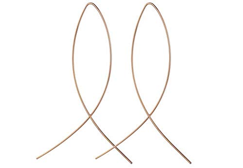 Hosaire Threader Wire Earrings Fish Curved Line Vintage Punk Simple Geometric Club Earrings Golden