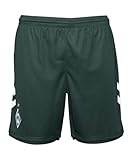 hummel Replicas - Shorts - National SV Werder Bremen Short 3rd 2023/2024 Kids Gruen 8 (128)
