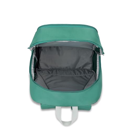 Image of American Tourister Max 3.0 | 29 Ltrs | 2 Compartments | Bottle Pocket | Ergonomic Padded Back Panel & Shoulder Straps | School Backpack for Boys & Girls | 1 Year International Warranty | Green