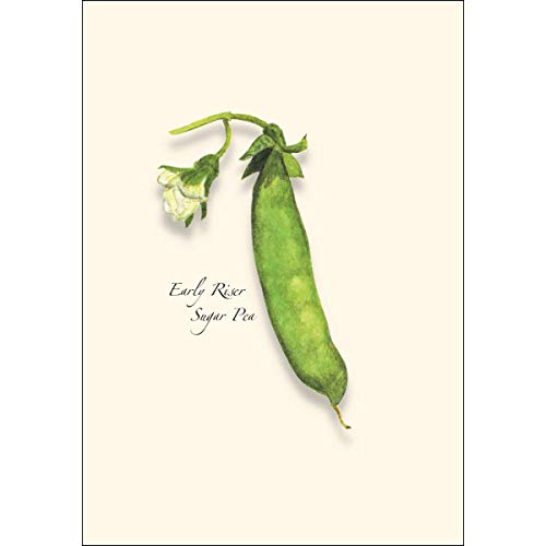 Image of Earth Sky + Water - Heirloom Pea Notecard Set - 8 Blank Cards with Envelopes