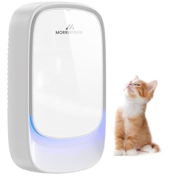 best air purifier for cat litter odor