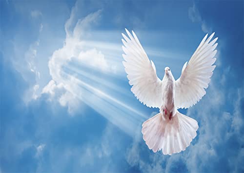 BELECO 7x5ft Fabric Peace Dove Backdrop Holy Spirit Bird Jesus Christ Backdrop Bright Heaven Light Blue Sky White Clouds Love and Peace White Dove Background Church Event Decor Christian Photo Props
