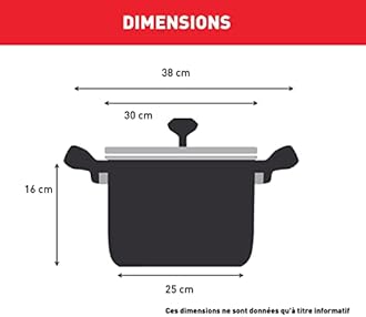 Tefal Intuition XL B8646404 Large Stainless Steel Cooking Pot 28 cm / 8 L, Induction, 5 Year Warranty, Premium 18/10 Stainless Steel, Size XL, Sturdy Handles, Glass Lid