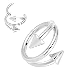 Pierced Koala (8mm) 2PCS Titanium Nose 16G Double Hoop Arrow Spike Septum Jewellery Hinged Segment Ring Body Piercing Nose Hoop Lip Clicker Tragus Daith Eyebrow Ring Helix Cartilage Rook Earrings