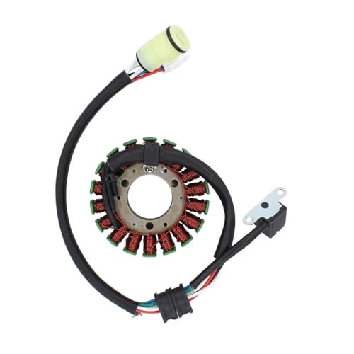 Bobine de stator pour réparer la charge de batterie défectueuse sur YFM660 et Bear 250