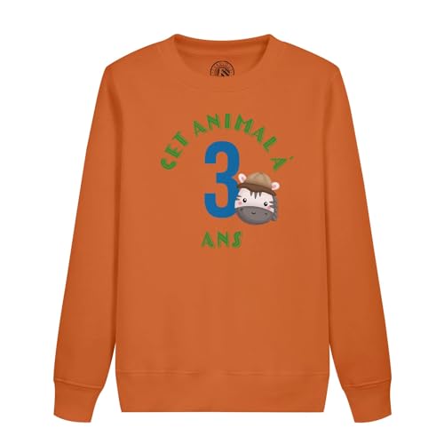 Trouvez le cadeau idéal : sweatshirt enfant anniversaire 3 ans safari pour une fête sans stress