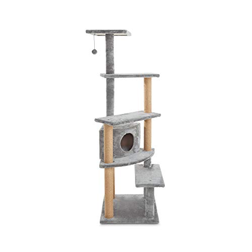 Top 10 Petco Cat Trees of 2021 No Place Called Home