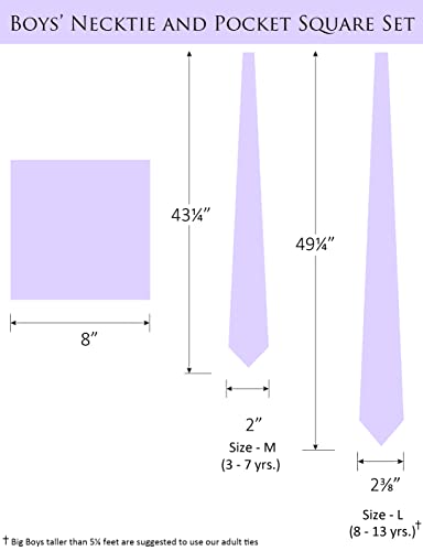 Zenxus Boy's Solid Lilac Lavender Tie With Pocket Square Set, Small Necktie For Children And Kids, Self-Tied #TOP1