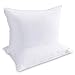 HARBOREST King Size Bed Pillows Set of 2 - Luxury Hotel Collection Down Alternative Pillows for Sleeping, 20 x 36 Inches