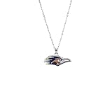 Fan Frenzy Gifts UTSA (Texas-San Antonio) Fan Necklace…