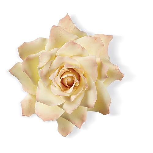 Wilton Succulents - Formine per Pasta di Zucchero...