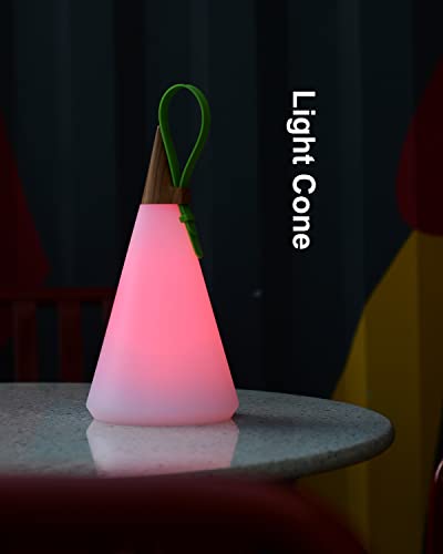 Weilailux Outdoor Cordless Rgb Table Lamp Waterproof, Portable Battery Operated Color Changing Lantern With Remote, Dimmable Desk Night Light Rechargeable For Bedroom Patio Camping, Wood Grain & Green #TOP2