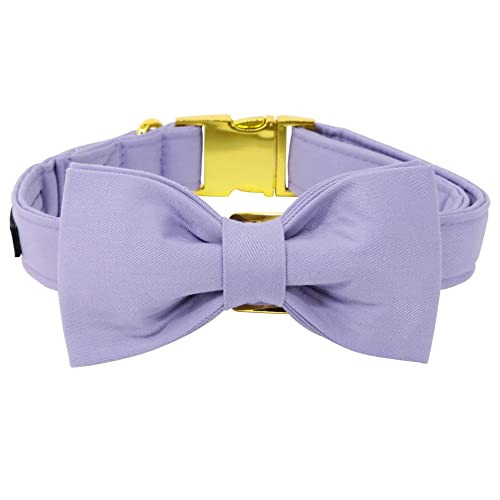 Unique style paws Dog Collar with Bowtie - Image 4