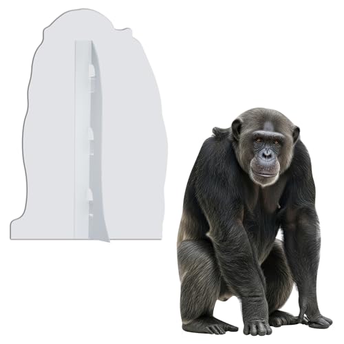 Image of Silverback Gorilla Life Size Cardboard Cutout, 5FT 1 PC | Silverback Gorilla Animal Standup for Events, Party Decor, Birthday Parties, Photography Backdrop, Home Decoration