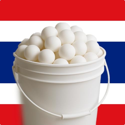 64. A Bangkok Ping Pong Show (A Thai travelogue)