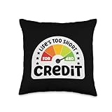 Fixing Credit Score Repair...