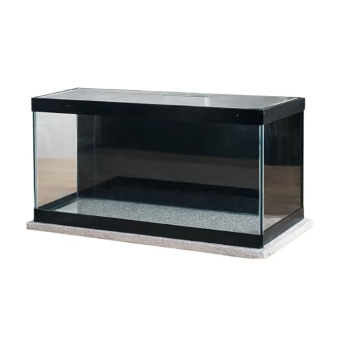 Aquário 10L + Vinil