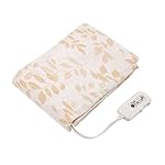 コイズミの暖房器具 KDS-5089CT