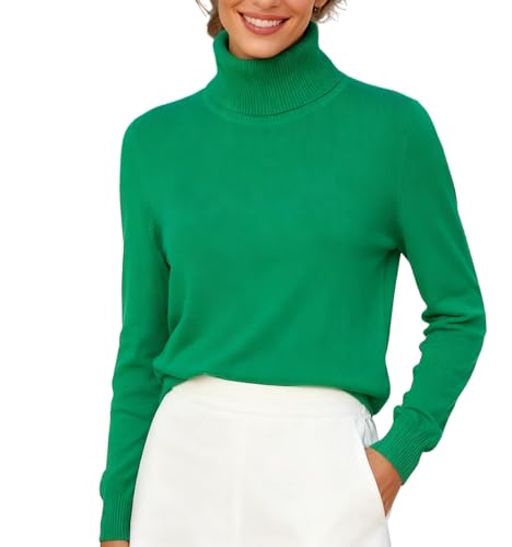 Image of DAIMIDY Turtleneck Sweaters for Women Long Sleeve Pullover Tops | Knitted Material| Soft, Warm and Breathable| High Resilience and Tensile Strength Design| Business Casual Tops| Dailywear