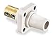 Receptacle, Double Set Screw, White