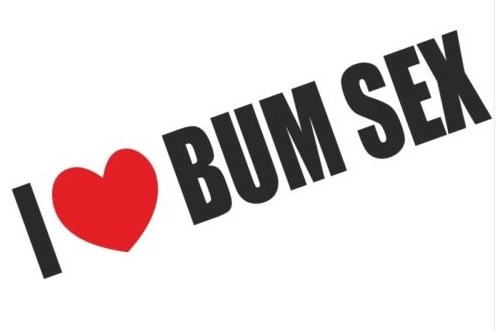 1st-Class-Designs I Love Bum Sex Funny Bumper Sticker Car Van Bike Sticker Decal Free P&P PRINTED SO PEEL AND STICK