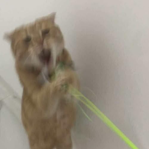 027 ふたば未来から3年目ようこそかなこ先生！の巻 cover art