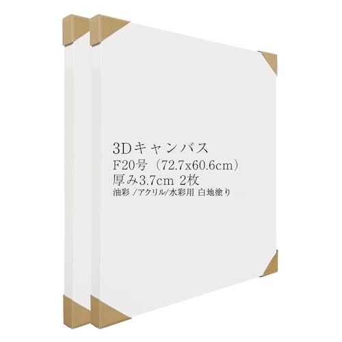 313RPC7foML.jpg