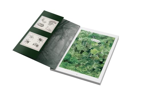 Em busca da Amazônia esquecida