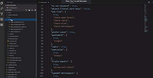 Mastering ANGULAR 7 Training Tutorial Video DVD – Fast Learning Self-Paced Tutorial High Quality Training Videos with Examples - Affiliation with... - Image 4