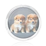 Pomeranians Puppies And Point 1 - Cenicero redondo de cristal para bordes sin procesar para el hogar, oficina, patio, coche, uso en interiores y exteriores