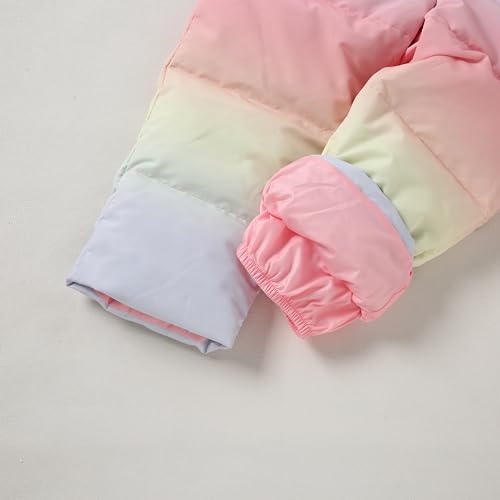 CARETOO Toddler Boys Girls Winter Down Coats Snowsuit Outerwear 2Pcs Clothes Hooded Jacket Snow Ski Bib Pants Outfits Set