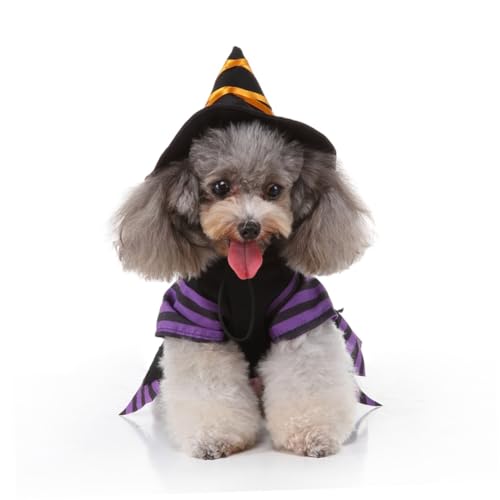 Disfraz Halloween Bruja para Perro Talla L miniatura 4