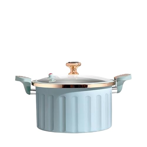 Olla a presión de hierro fundido esmaltado 4.41 lb