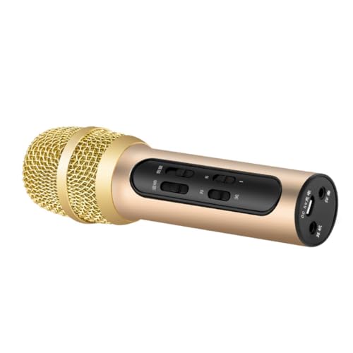 Microphone chant en direct pour animer vos soirées karaoké en famille avec style